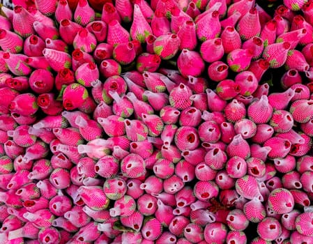 Full-frame close-up of stack of rose flower wrap for sale