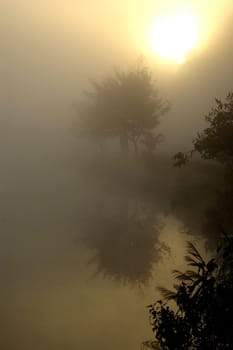 Morning mist and the lake view in the countryside