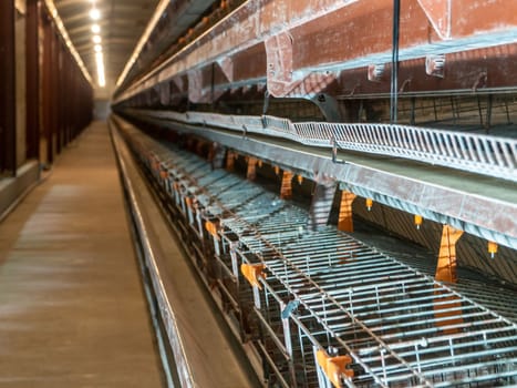 The empty laying cages in the chicken farm