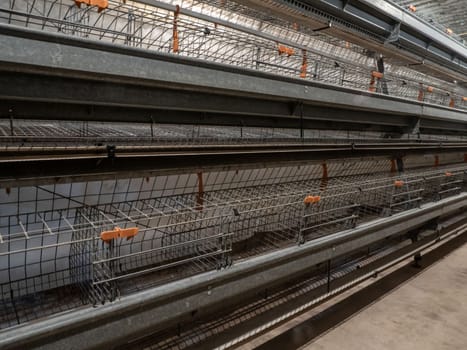 The empty laying cages in the chicken farm