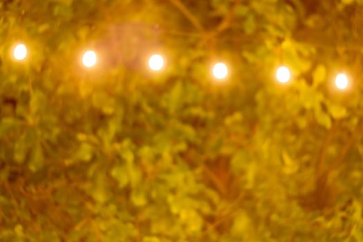 Blurred background of Garden lights illuminate the party