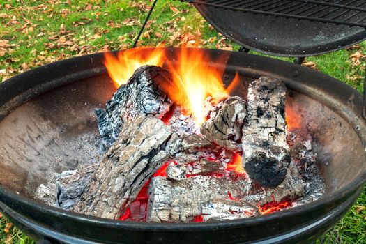 Barbecue woods, flame fire burning in metal grill preparing for BBQ 