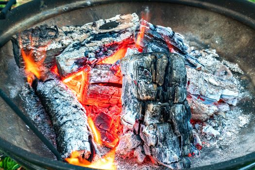 Barbecue woods, flame fire burning in metal grill preparing for BBQ 