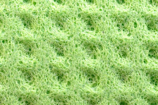 Green sponge detail texture, sponge texture background