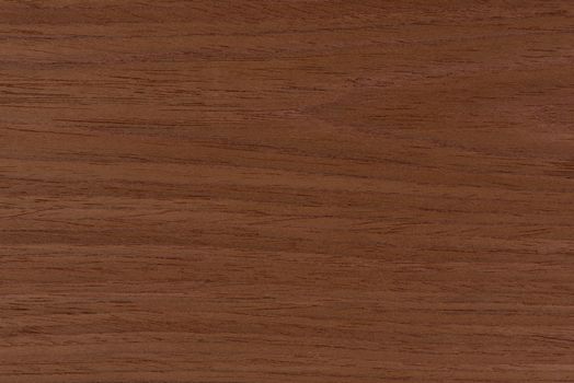 Texture of mahogany. Dark mahogany veneer texture for furniture production