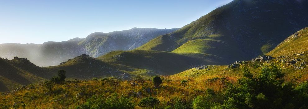 The beauty of Africa. A hilly mountainside in the Western Cape, South Africa