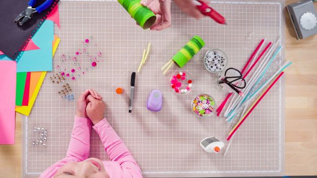 Flat lay. Kids papercraft. Making paper bugs out of the empty toilet paper rolls and construction paper.