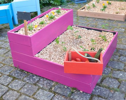 Presentation of big wood pot for planting .Srawberry and vegetables .