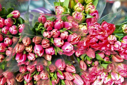 Rose tulips flowers for sale. Many bouquets.