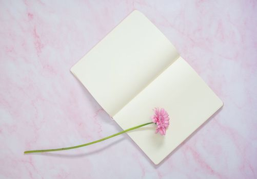 one pink gerbera and blank notebook on the table, gift for her, copy space, High quality photo