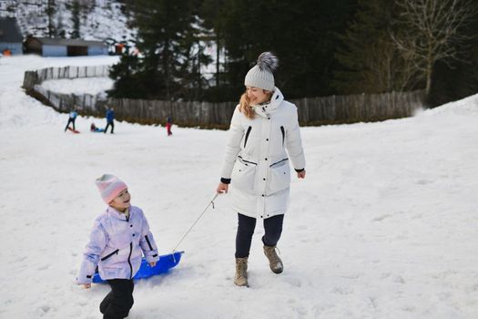 The mother with child sledding in the snow