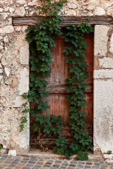 abandoned wooden door in an ancient building