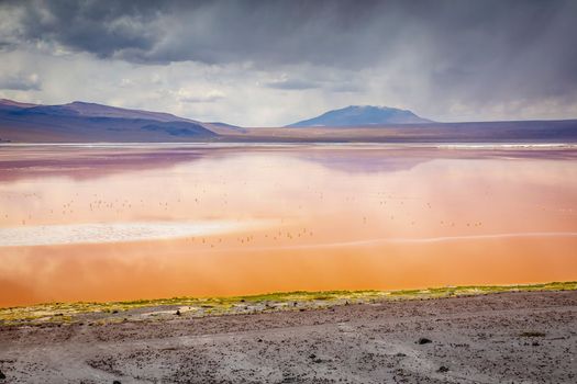 Laguna colorada, Red lake, with Andean Flamingos and Idyllic Altiplano Atacama Desert, Volcanic landscape, Potosi, Bolivian Andes, Bolivia