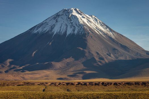 Licancabur and Peaceful dramatic volcanic landscape at Sunset, Atacama Desert, Chile