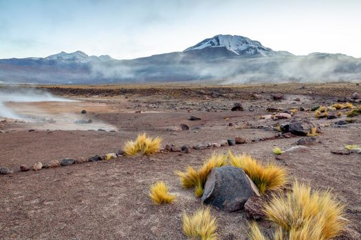 Geysers El Tatio with river and Peaceful dramatic volcanic landscape at sunrise, Atacama Desert, Chile