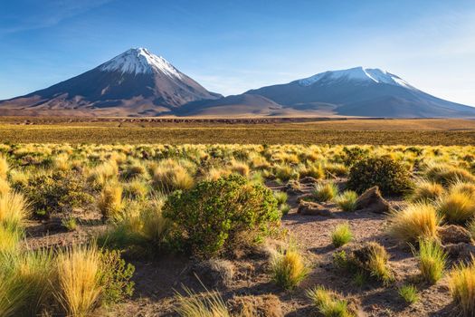 Licancabur and Peaceful dramatic volcanic landscape at Sunset, Atacama Desert, Chile