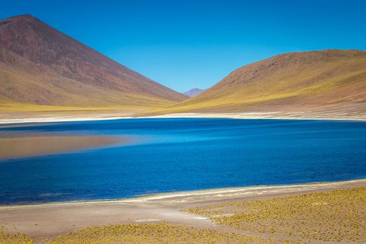 Salt lake Laguna Miniques, and idyllic volcanic landscape at sunrise, Atacama desert, Chile border with Bolivia