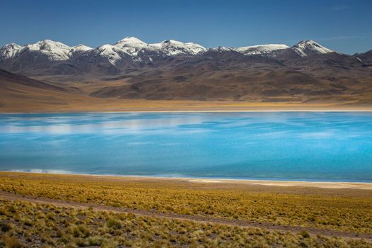 Salt lake Laguna Miscanti, and idyllic volcanic landscape at sunrise, Atacama desert, Chile border with Bolivia