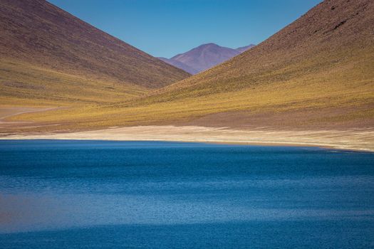 Salt lake Laguna Miniques, and idyllic volcanic landscape at sunrise, Atacama desert, Chile border with Bolivia