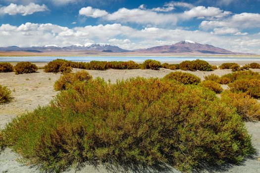 Salt lake reflection and idyllic volcanic landscape at sunrise, Atacama desert, Chile border with Bolivia