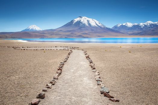 Salt lake Laguna Miscanti, and idyllic volcanic landscape at sunrise, Atacama desert, Chile border with Bolivia