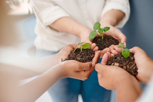 Growth takes time but its always worth it. an unrecognizable group of businesswomen holding plants growing out of soil inside an office