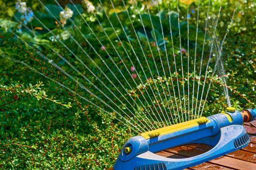 the supply of water to land or crops to help growth, typically by means of channels. Irrigation system, sprinkler watering flowers on a hot day in a city park.