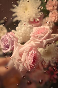 Beautiful pink and white flowers frozen in ice, wallpaper that looks like flowers are trapped in screen.
