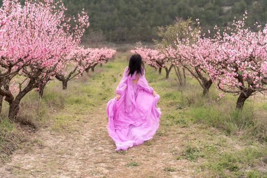A woman in a long pink dress walks in the park, in a peach orchard. Large blooming peach orchard