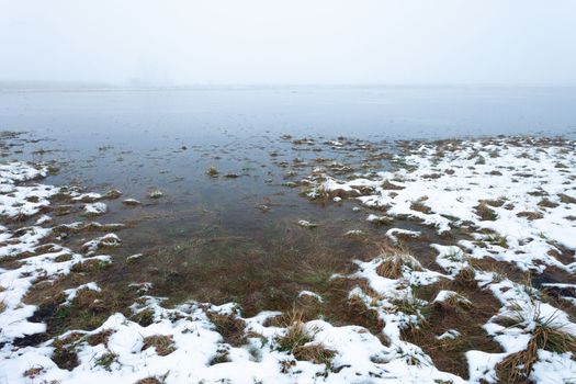 Water and snow on a flooded meadow in the foggy day, Czulczyce, Poland