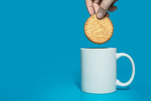 Female hand dipping normal healthy grain cookies in white mug of milk on blue background, copy space.Dairy,drink concept tasty snack
