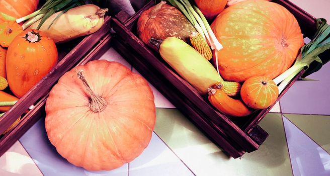 Autumn harvest, pumpkins, zucchini and green onions. Vegetables are in a wooden box.