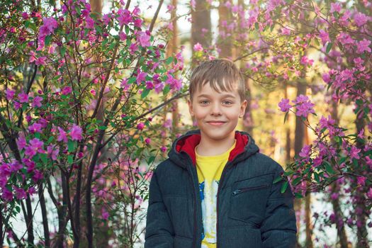 Happy kid travelling in Altai mountains on spring beautiful booming pink Rhododendron flowers background