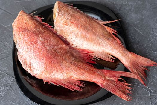 Two frozen headless carcasses of red sea bass, covered with frost on a plate. Kitchen. Fish diet