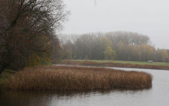 Dull autumn landscape. River bank with trees without leaves.