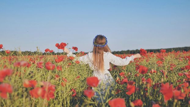 Ukrainian girl walking through a red poppy field