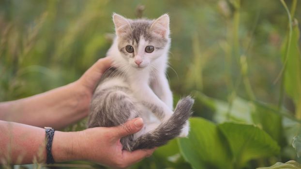 A woman holds a shivering kitten outside
