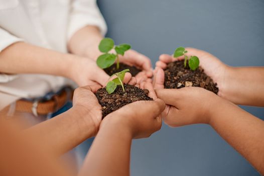 Nurture your business and watch it grow. an unrecognizable group of businesswomen holding plants growing out of soil inside an office