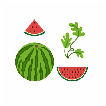 National watermelon day on August 3 in the United States. Set round ripe watermelon, slice of watermelon, watermelon leaves. Vector flat stylized cartoon illustration. Watermelon and fruit festival.