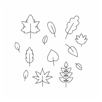 Set of contour Doodle drawings autumn leaves, twigs, berries. Black outline sketch by hand summer and spring. Design of postcards, photos, design and decor elements. Vector illustration.