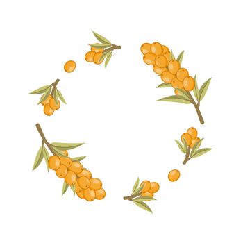 Round frame made of sea buckthorn twigs. Flower frame for photo decoration. Place under the photo or caption. Making an invitation card for a wedding.