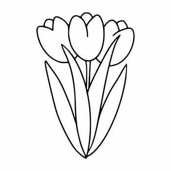 Bouquet with tulips painted in the style of doodle. The tulip is a contour line. Vector icon for the decoration of cards.