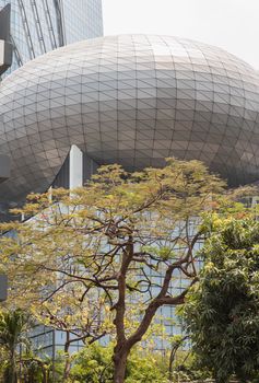 Bangkok, thailand - Mar 18, 2022 : Fawn green leaves of trees against the background of Modern high-rise building design of glass and concrete on a sunny day. The beauty of landscape design in front of the building, Architecture of the bangkok city. Selective focus.