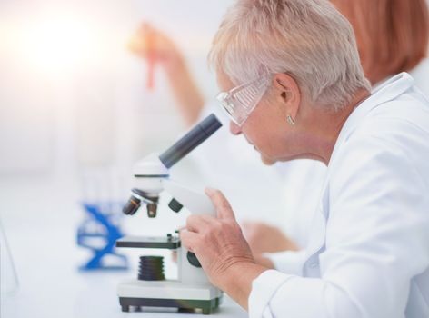 close up. female scientist conducts research in the laboratory.