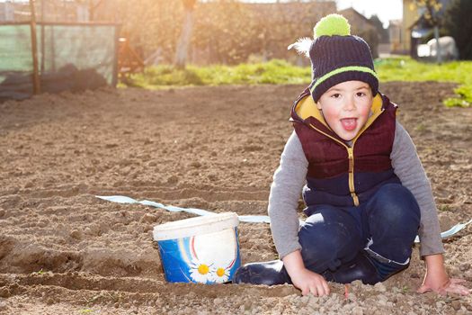 The young boy is happy to plant a garden. It is illuminated by the gentle evening sun when placing the seeds in the ground.