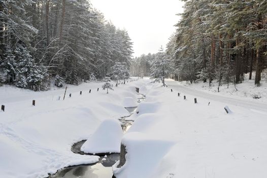 Winter landscape of a mountain river in the snow, around the forest.