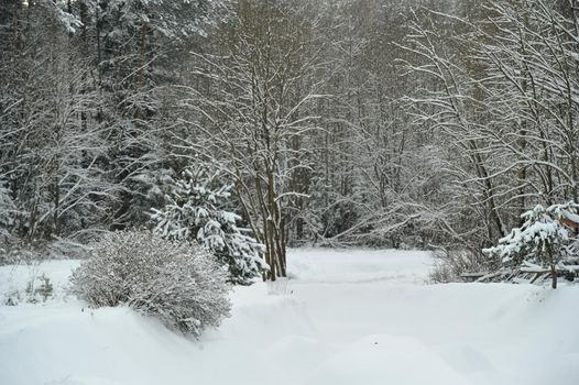 Winter landscape of a mountain river in the snow, around the forest.