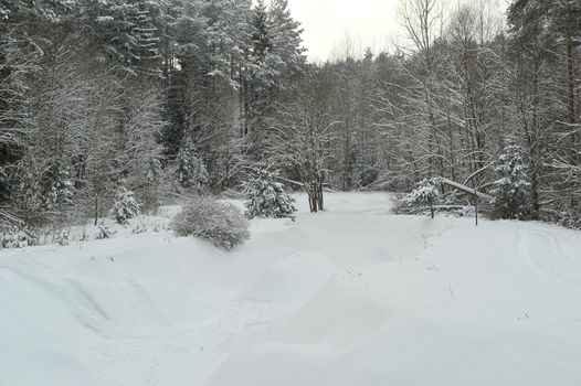 Winter landscape of a mountain river in the snow, around the forest.