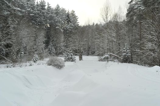 Winter landscape of a mountain river in the snow, around the forest.