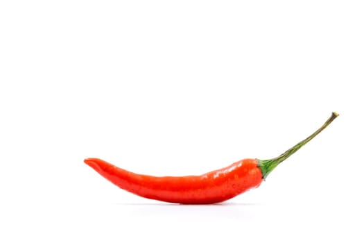 Single fresh red pepper isolated on white background with copy space.